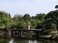 A Tranquil Escape Beside Himeji Castle: Koko-en’s Timeless Beauty