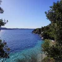 澳洲最古老漁村 - 沃森灣 Watson Bay