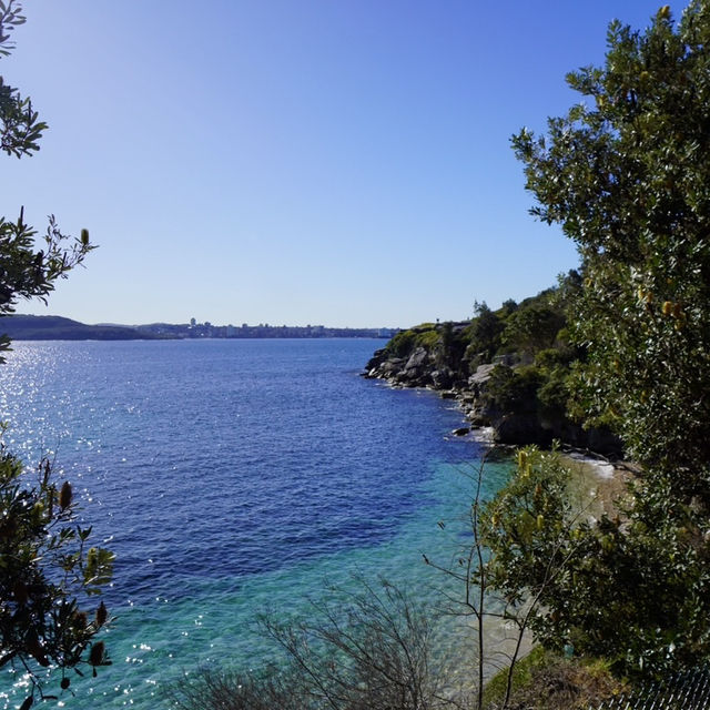 澳洲最古老漁村 - 沃森灣 Watson Bay