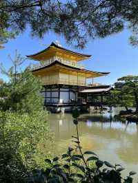 🇯🇵 Kyoto’s Beauty: Rising Sun Above the Crowds