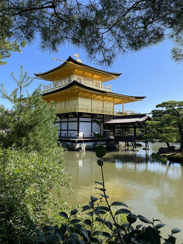 🇯🇵 Kyoto’s Beauty: Rising Sun Above the Crowds