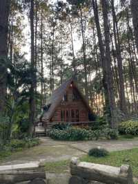สวนป่าดอยบ่อหลวง | เชียงใหม่ 🏡🌲✨🍃