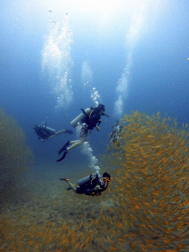 Koh Tao: The hidden Gem of Thailand🏝️