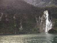 Milford Sound นิวซีแลนด์