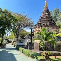 【チェンマイ】🇹🇭 ワット ウモーン マハーテーラチャン