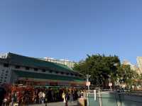 黃大仙廟拜太歲 求籤