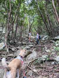 【沖縄】名護市 気分転換に最適！サクッと登れる絶景登山
