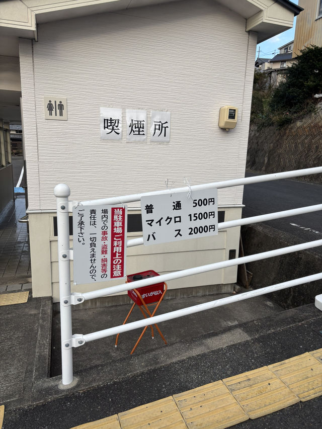 南部（みなべ）梅林へ今年初めての梅を見に❤️