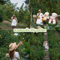 แนะนำคาเฟ่เชียงใหม่
