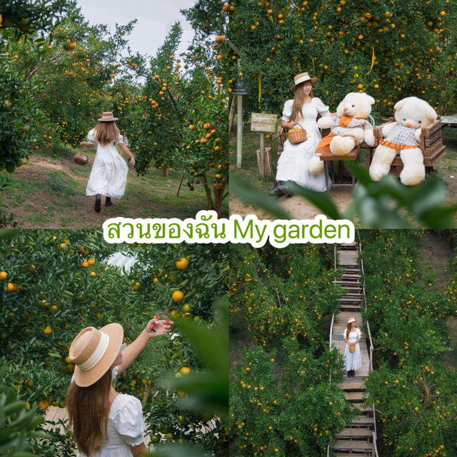 แนะนำคาเฟ่เชียงใหม่