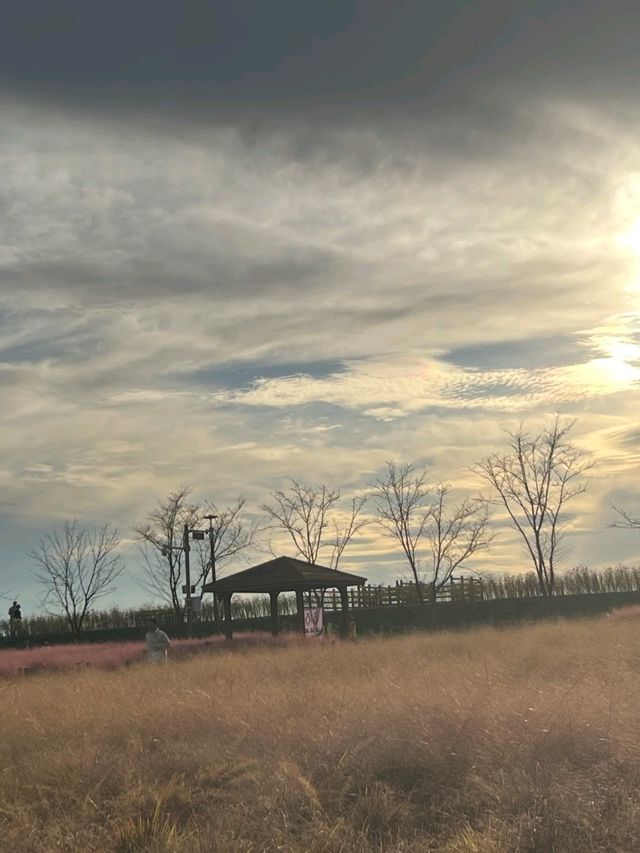 🌿 경남 함안 1박 2일 여행 코스 🏞️