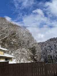 日本長野 冬天必去！