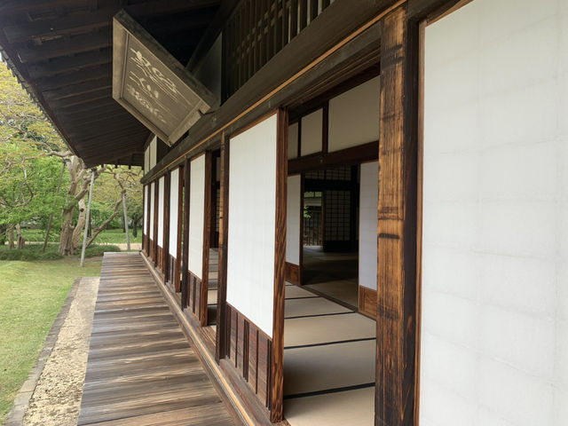 【茨城・水戸】弘道館✨歴史と新緑の調和が感じられる名所