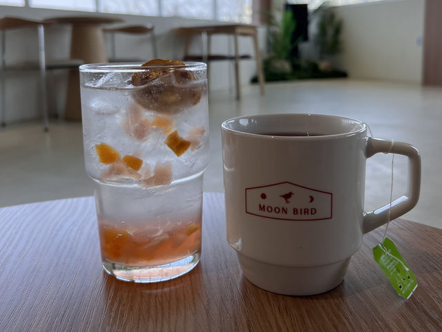 문버드
