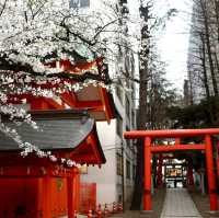 新宿花園神社 | 東京市中心賞櫻的隱秘寶地