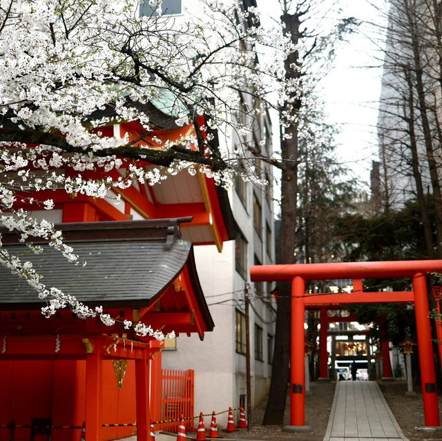 新宿花園神社 | 東京市中心賞櫻的隱秘寶地