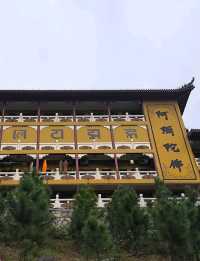 斗門金臺寺~值得一去的地方又可以居高臨下看湖景