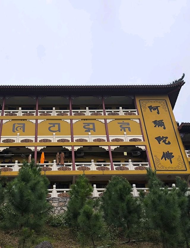 斗門金臺寺~值得一去的地方又可以居高臨下看湖景