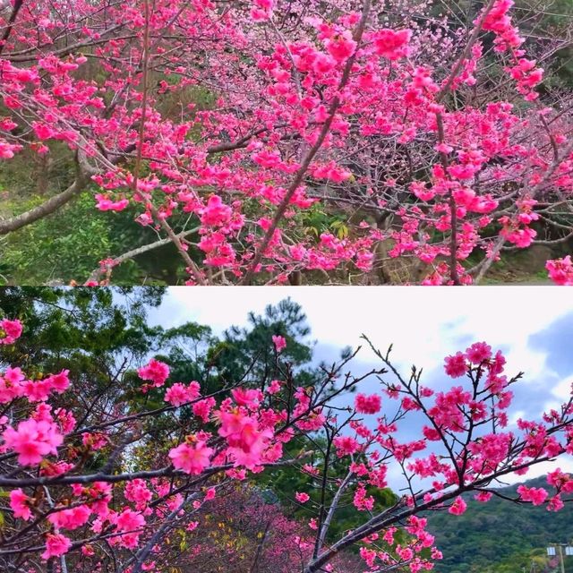 沖繩