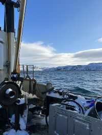 🐋 Whales watching in Teriberka