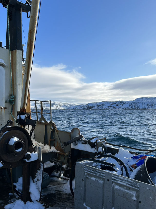 🐋 Whales watching in Teriberka