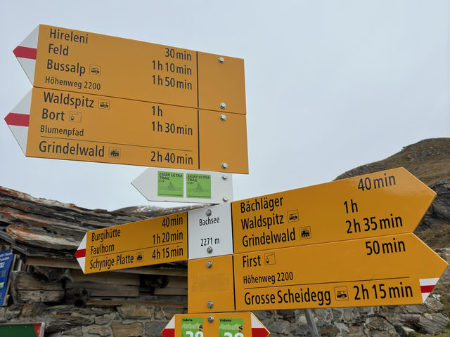 Hiking to New Heights at Grindelwald First