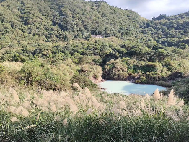 陽明山冷水坑✨寧靜優美的自然秘境 🌿🌊
