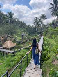 【バリ島】🇮🇩ウブド　テガラランライステラス（プールある方）