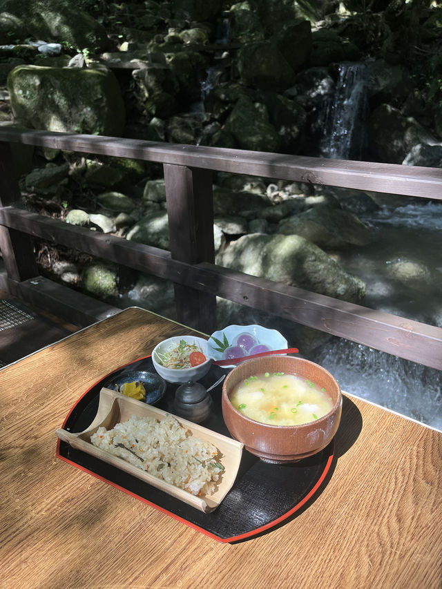 【福岡】森の中でランチ🌳🇯🇵