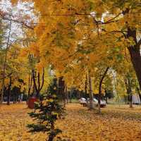 Karakol: A Gem in the Tien Shan Mountains