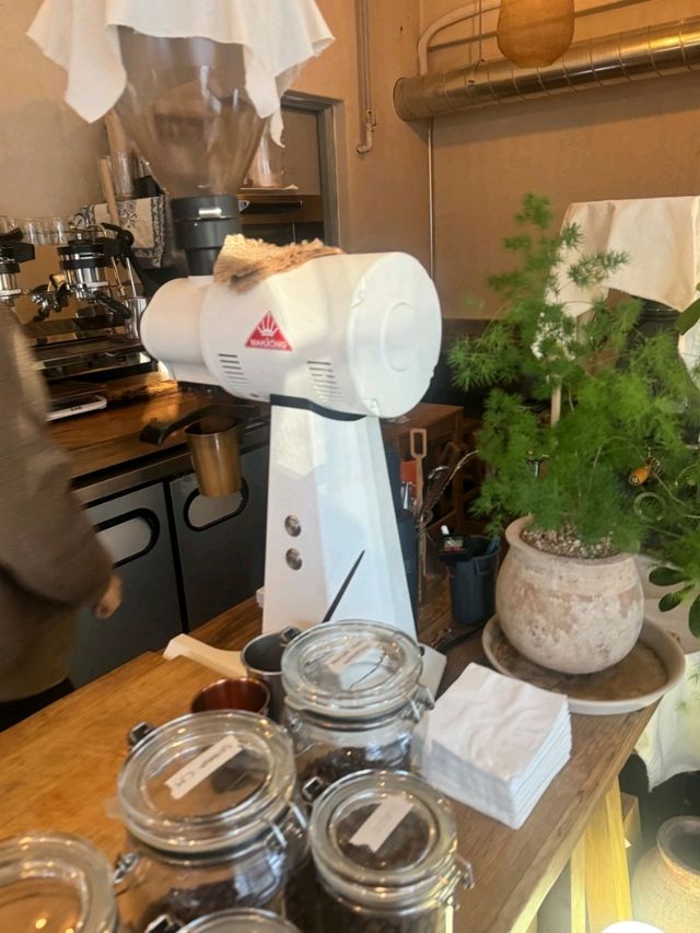 🌱공릉 분위기 좋은 카페🌻 아카시아 커피 하우스