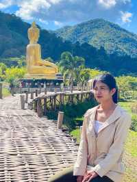 วัดนาคูหา สักการะพระเจ้าต๋น 🙏🏼