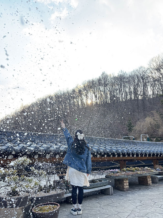 아직도 눈이 오는 이곳은?