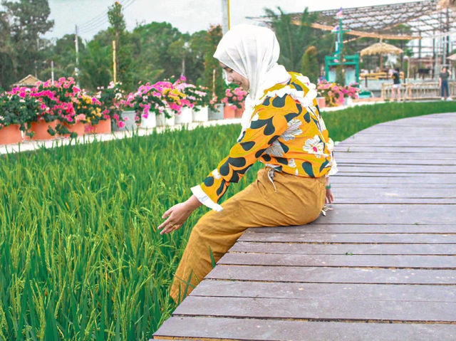 นาแม่เฒ่า - นครศรีธรรมราช