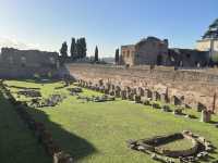Walking Through History: Exploring the Roman Forum in Rome