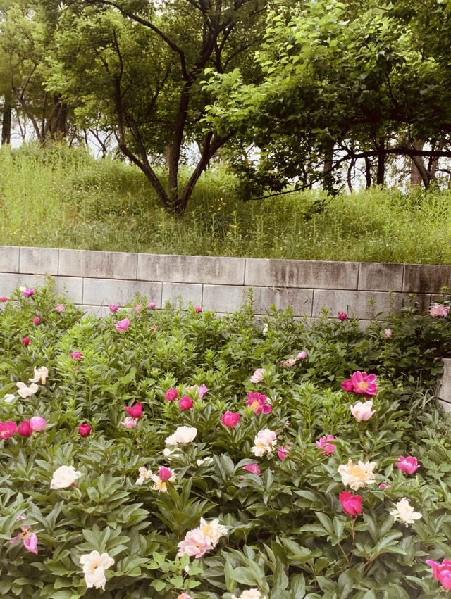 A Great Spot for a Relaxing Spring Picnic!