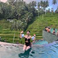 인도네시아 우붓 Cretya 비치 클럽 추천 🌴