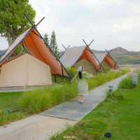 Thammachard Campground ลานกางเต็นท์ ธรรมชาติ