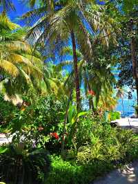 Spring Fling in Kuredu 🌼