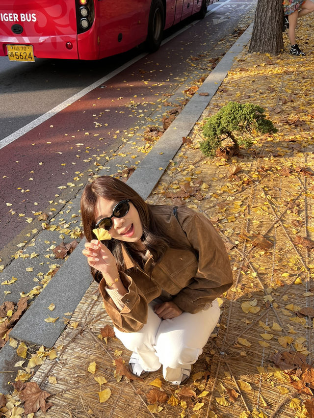 Golden Leaves & Chilly Breeze: Fall in Korea