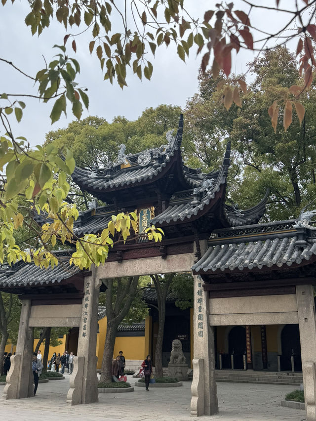 A Serendipitous Sakura Stroll: West Garden Temple’s Floral Paradise by the Canal