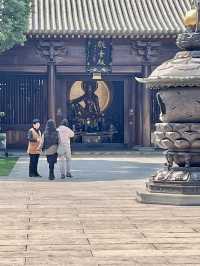 【上海の古刹】500年の歴史ある宝山寺でまったり