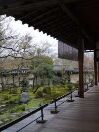【京都×春旅】  風情ある景色、庭園、建築技術は素晴らしい