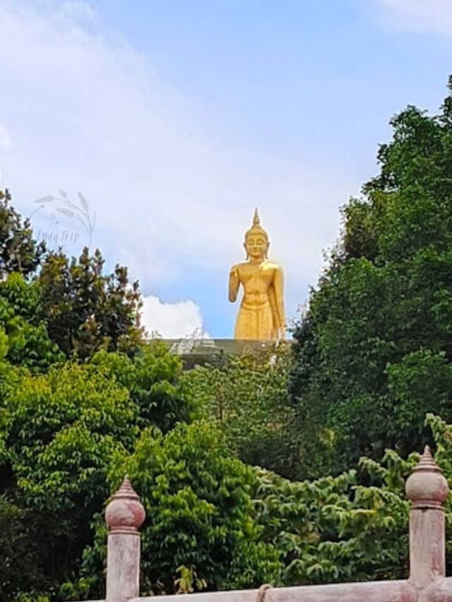 💞พระโพธิสัตว์กวนอิมนครหาดใหญ่