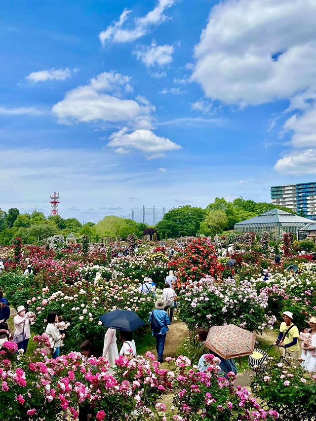 Spring Outing: Keisei Rose Garden🌼