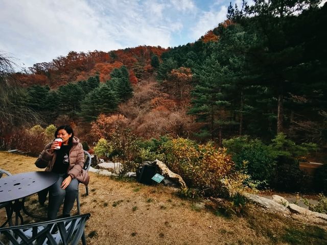 The Garden of Morning Calm: Korea’s Tranquil Floral Wonderland