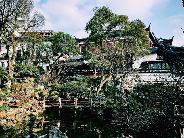 🇨🇳上海: 古刹で心洗われるひととき🌸🛕