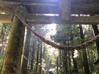 高森湧水トンネル公園と上色見熊野座神社で歴史と自然に触れる旅✨