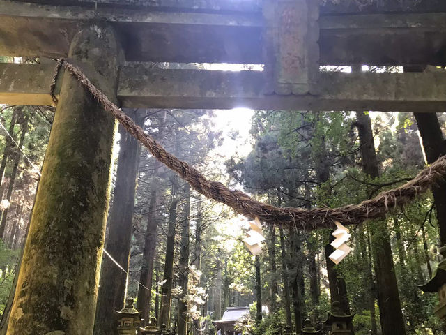 高森湧水トンネル公園と上色見熊野座神社で歴史と自然に触れる旅✨