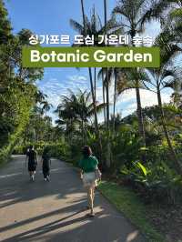 싱가포르 도심 한 가운데 숲속🌳 보태닉 가든 